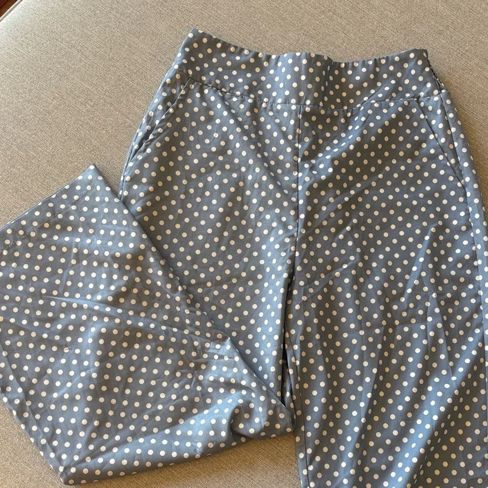 SHEIN Blue and White Polka Dot Pants - Picture 1 of 12